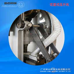 廣州雷邁機(jī)械直銷(xiāo)dhp型食品制藥化工雙色片花籃式壓片機(jī)