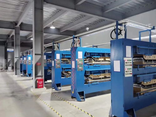 湖北翔馳運動用品 加快培育新質生產力 賦能企業創新發展